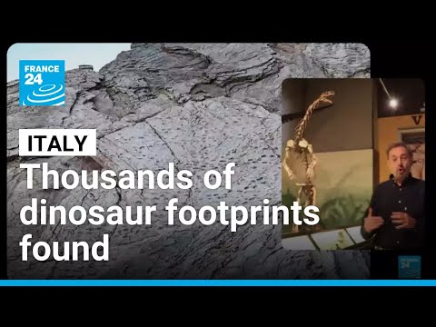 Italy: Thousands of dinosaur footprints discovered near Winter Olympics site • FRANCE 24 English