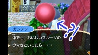 【とび森実況】村長宅もすこし変えたいなあ【part61】