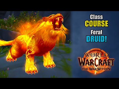 Class Course: A Feral Druid Rotation Guide for Beginners! | The War Within 11.2