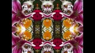 Telephone Road (by Rodney Crowell live in Dublin 2004)