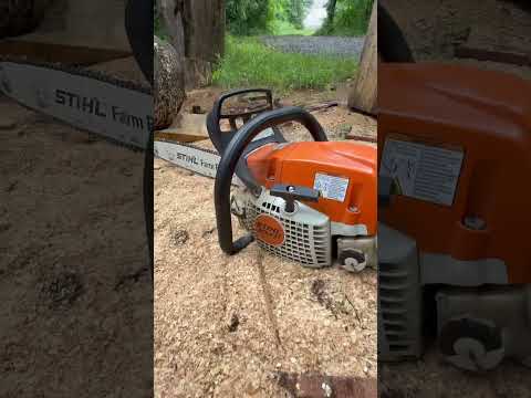 Warming up the Stihl ms271 and Stihl ms291