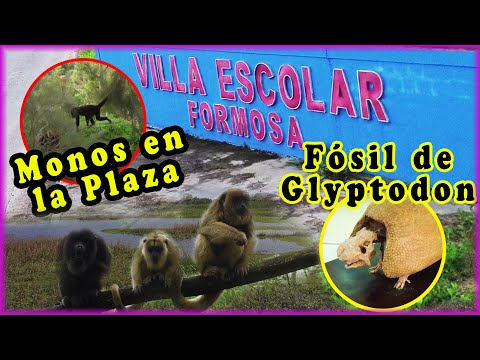 Aventura histórica: Viaje a Villa Escolar