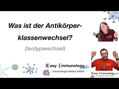 Easy Immunology: Antikörper Klassenwechsel