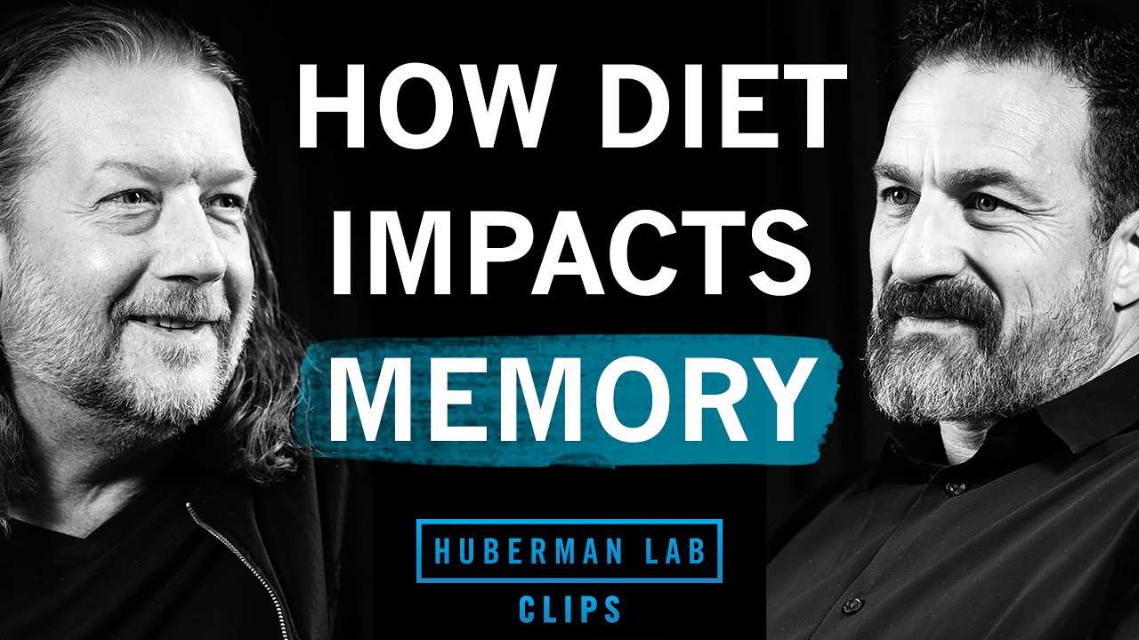 How Diet Impacts Memory & Disease Risk | Dr. Scott Kanoski & Dr. Andrew Huberman