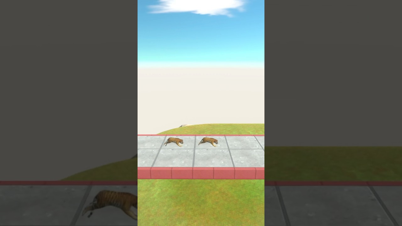 ARBS  Obstacle Course Racing. Tiger Edition! - Animal Revolt Battle Simulator #shorts