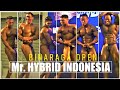 Mr Hybrid Indonesia 2017 ICE BSD City 20 Mei 2017 #Binaraga Open part 1