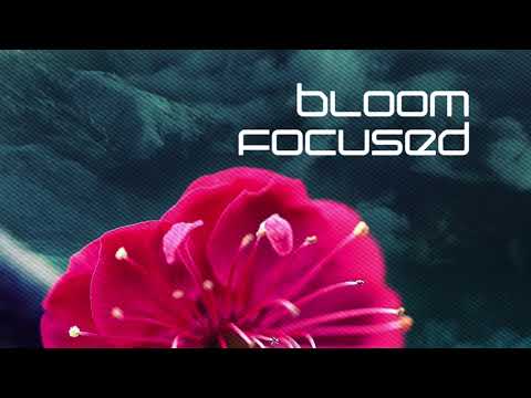Bloom Focused - Hey Fall