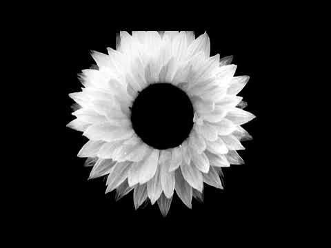 Toten - jestem kwiatem (prod. Baxon Beats)