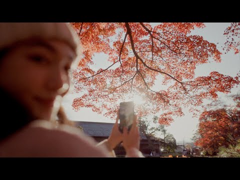 【AUTUMN】myyamagata