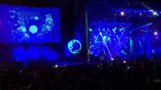 Mujer del Caleidoscopio- La Renga en Rosario 2018