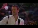 Adam Cohen - Take This Waltz 