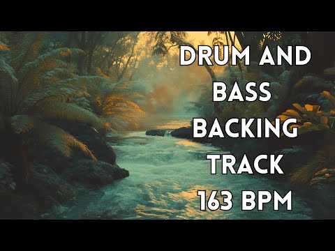 Drum & Bass Backing Track 163 BPM