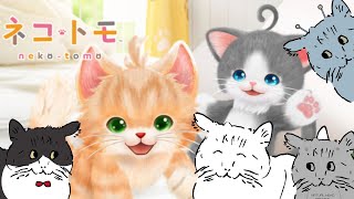 バーチャルねこ vs ネコ・トモ◆第3回戦