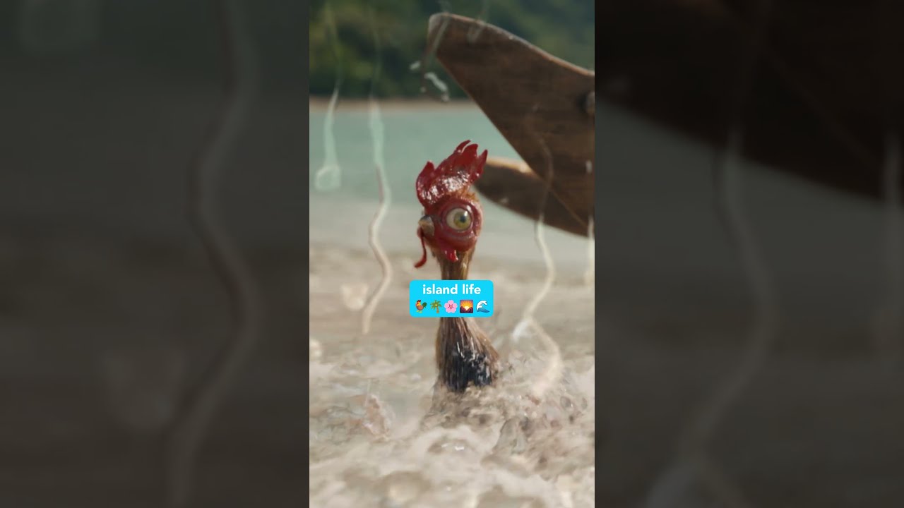 Video náhled