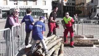 preview picture of video 'Carri e boscaioli - Carnevale dei ragazzi 2014, Sondrio'