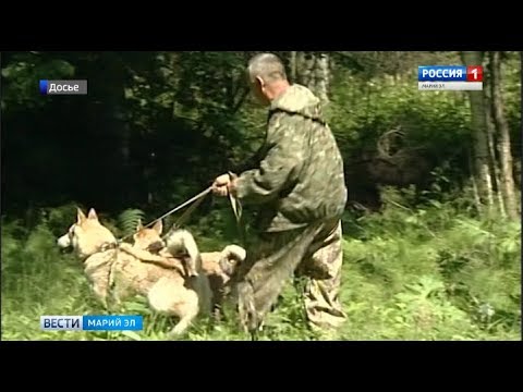 Магазин Охотник Йошкар Ола