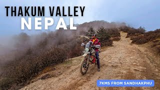 Sandakphu to Thakum Valley: Nepal New Year & Yak Festival 2024 (Chaurigai) #sandakphu