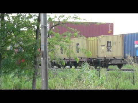 Comboio de contentores MSC - entrada no terminal intermodal do Entroncamento