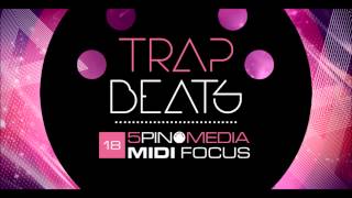 Trap Instrumental Beat (NEW 2013) (Prod By PanicBeats)
