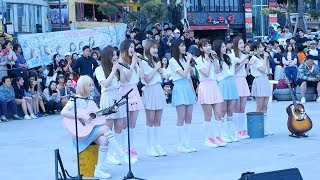 170528 다이아 (DIA) 너만 모르나 봄 (Not Only You But Spring) 부산 광안리 버스킹 공연 직캠