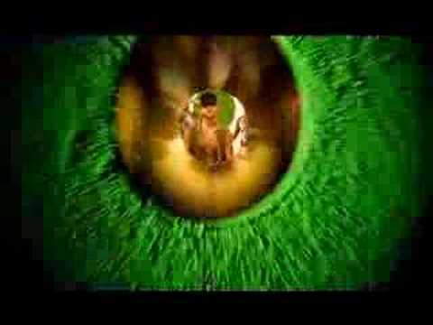 youtube video placeholder