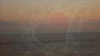 Los TorosBand -Si Tu Estuvieras