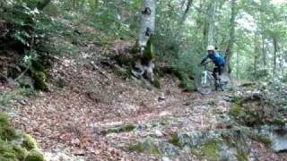 preview picture of video 'La Forêt du Sapet'