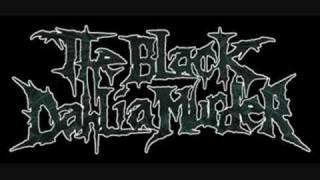 Black Dahlia Murder -All My Best Friends Are Bullets and To You Contortionist