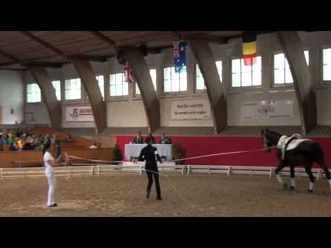 CVI Bern 2015 - Daniel Kaiser GER (CVI3*)