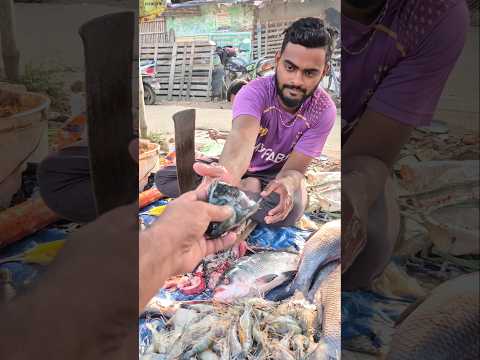 একপিস তালাপিয়ে মাছ ৫ টুকরো করে নিলাম#ytshorts #fish #fishcutting #machbazar #fishcutting_skills