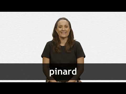 How to pronounce PINARD in French