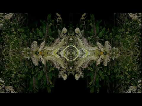 Raio - Buho (feat. Sophie Söfrēē)