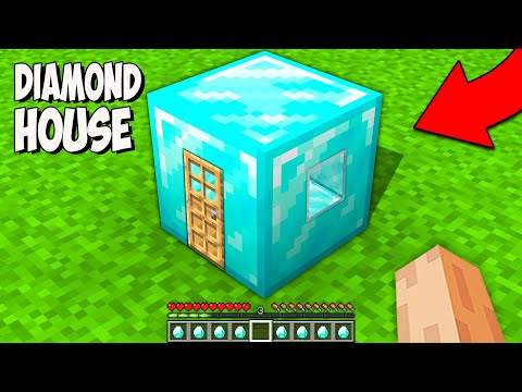 Minecraft's TINIEST ONE BLOCK DIAMOND HOUSE! INSANE REVEAL!