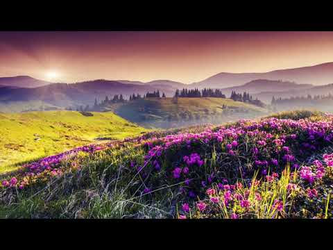 Thumbnail for Magnificat video