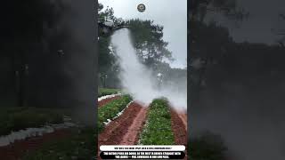 Agricultural Spraying Drone Misting Crops In One Pass