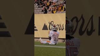Nick Cenacle Toe Tap Touchdown ???? #bclions #cfl #hawaiifootball