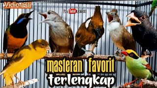 Download lagu MASTERAN fAVORIT MURAI BATU LENGKAP || TEMBAKAN SUPER KASAR TAJAM || berjedah 2jam mp3 Download lagu MASTERAN fAVORIT MURAI BATU LENGKAP || TEMBAKAN SUPER KASAR TAJAM || berjedah 2jam mp3
