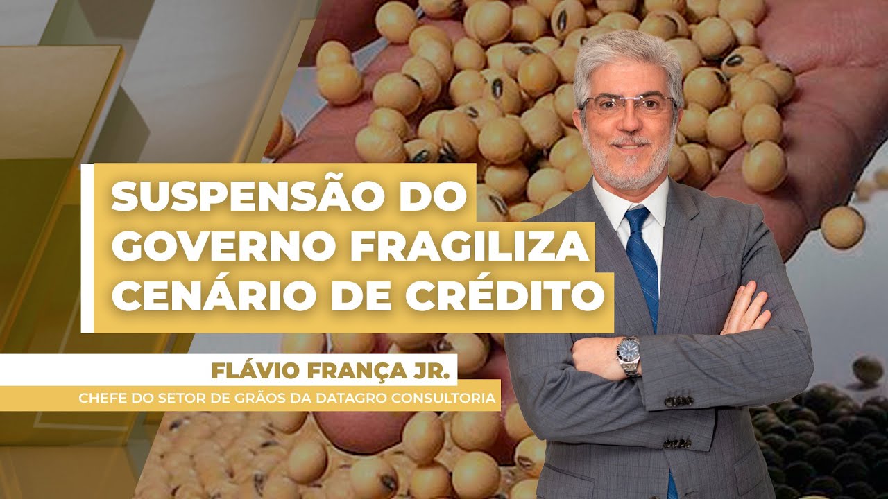 Mercado brasileiro da soja tem cenário construtivo para os preços; prêmios seguem positivos