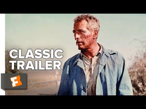 Cool Hand Luke (1967) Official Trailer