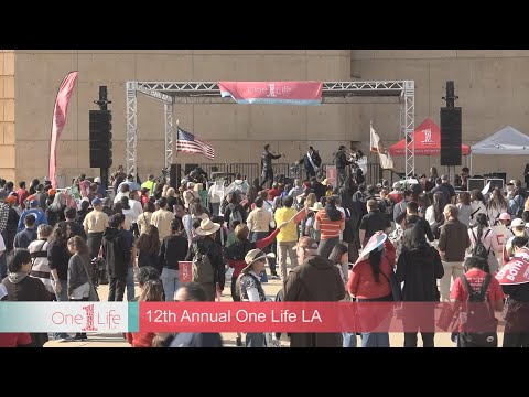 One Life La