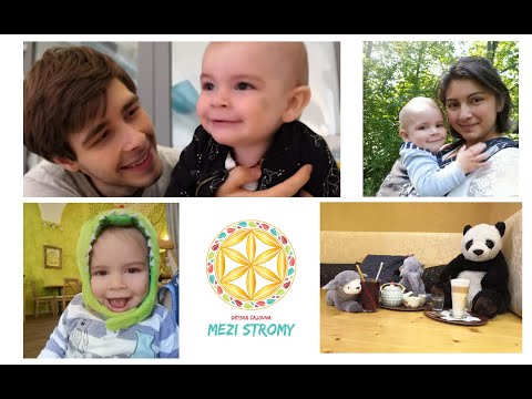 Zachraňme Mezi stromy