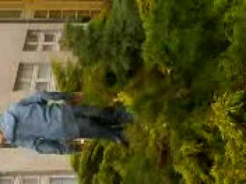 Siwy W Krzakach Część 1