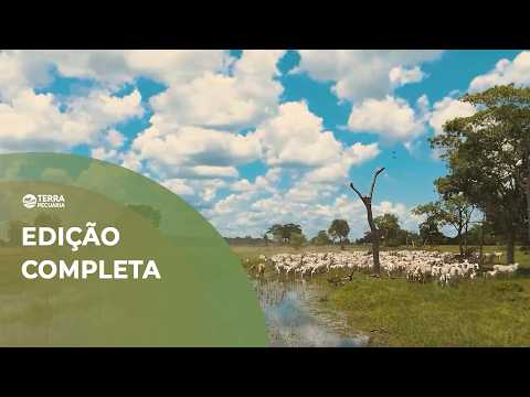 TERRA PECUÁRIA - Edição Completa 15/02
