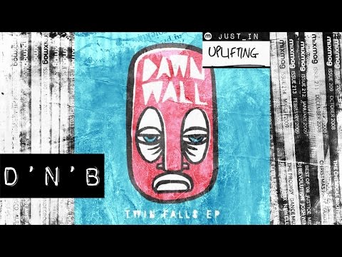 D'N'B: Dawn Wall - Twin Falls [Integral Records]