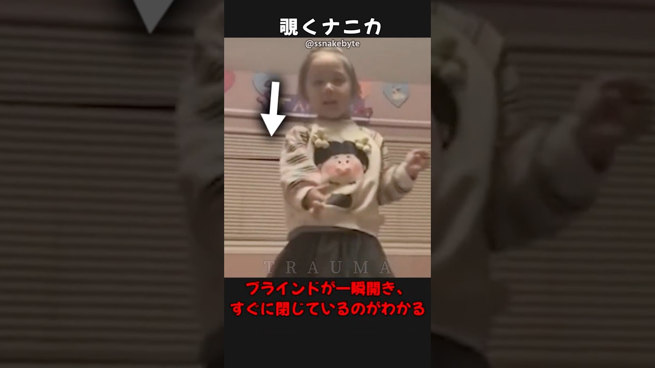 【トラウマ注意!】カメラが捉えた背筋が凍る心霊・恐怖映像! #shorts #ゆっくり解説 #心霊