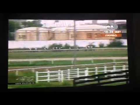 Srpski Galopski Derbi 2014