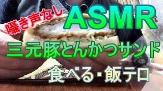 【ASMR飯テロ】セブンイレブン三元豚とんかつサンドを食べる2021年10月22日
