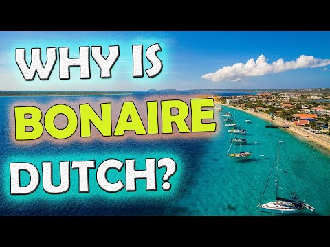 The Facts You Never Knew about Bonaire