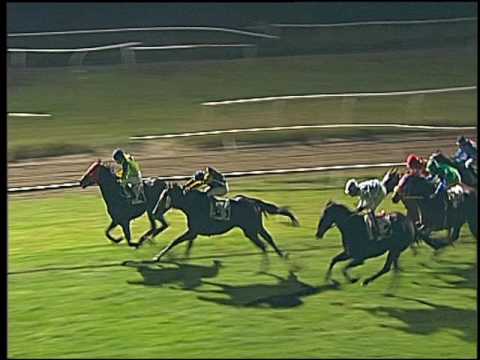 Galoppo 16/11/2016 - 5ª corsa