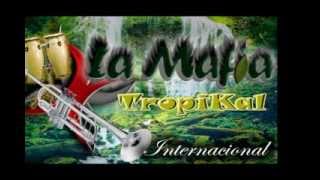LA MAFIA INTERNACIONAL -  TU MENTIROSO CORAZÓN VRAEM - AYACUCHO